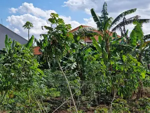 Plot's Available for Sale at Nakwero