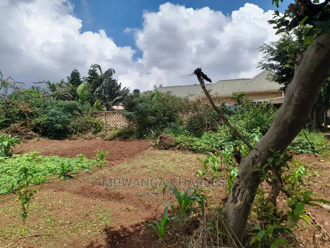 Plot's Available for Sale at Nakwero