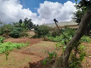 Plot's Available for Sale at Nakwero