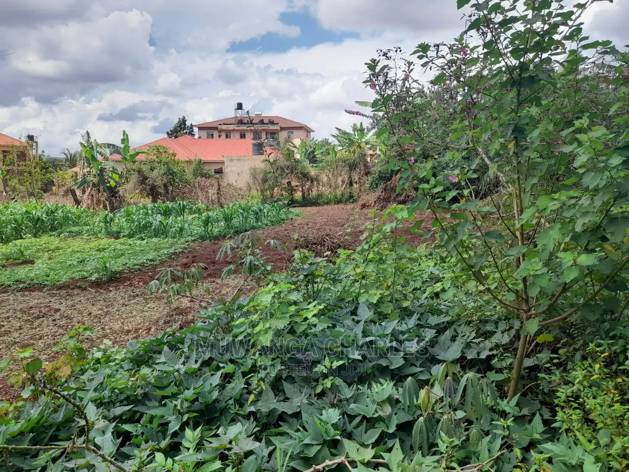 Plot's Available for Sale at Nakwero