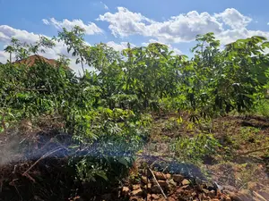 Plot's Available for Sale at Nakwero