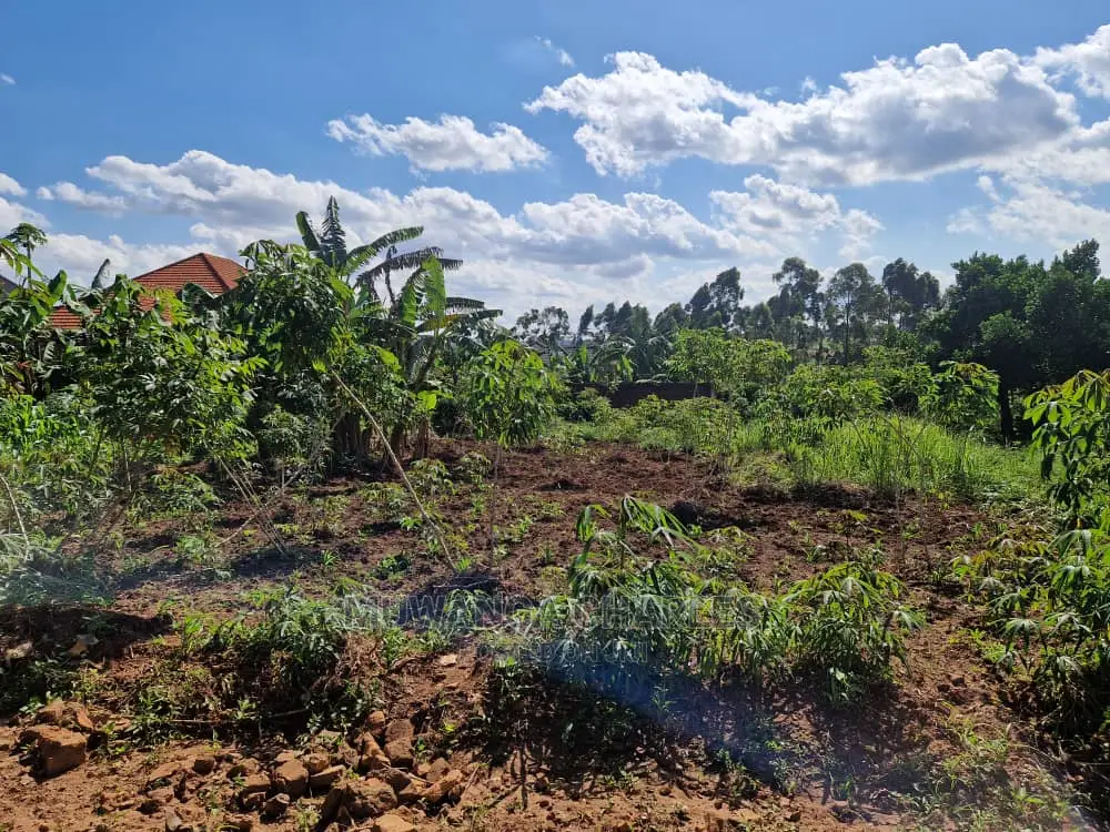 Plot's Available for Sale at Nakwero