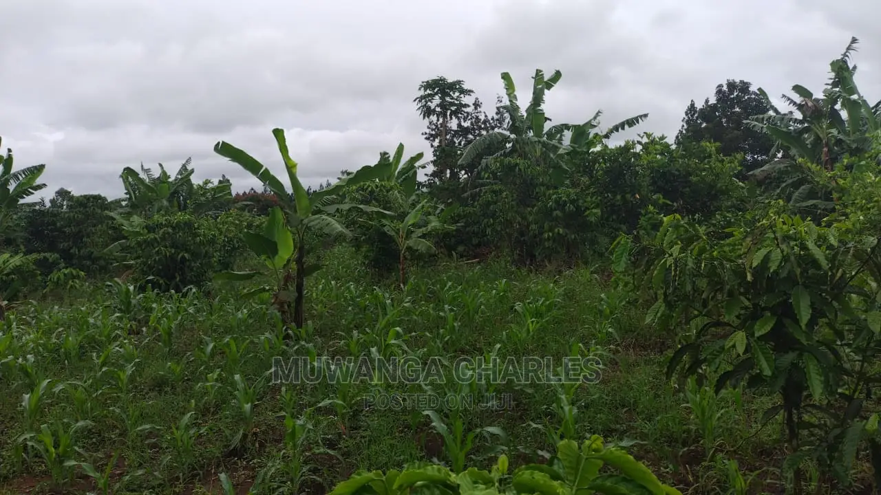 Plot for Sale at Gayaza Nakwero