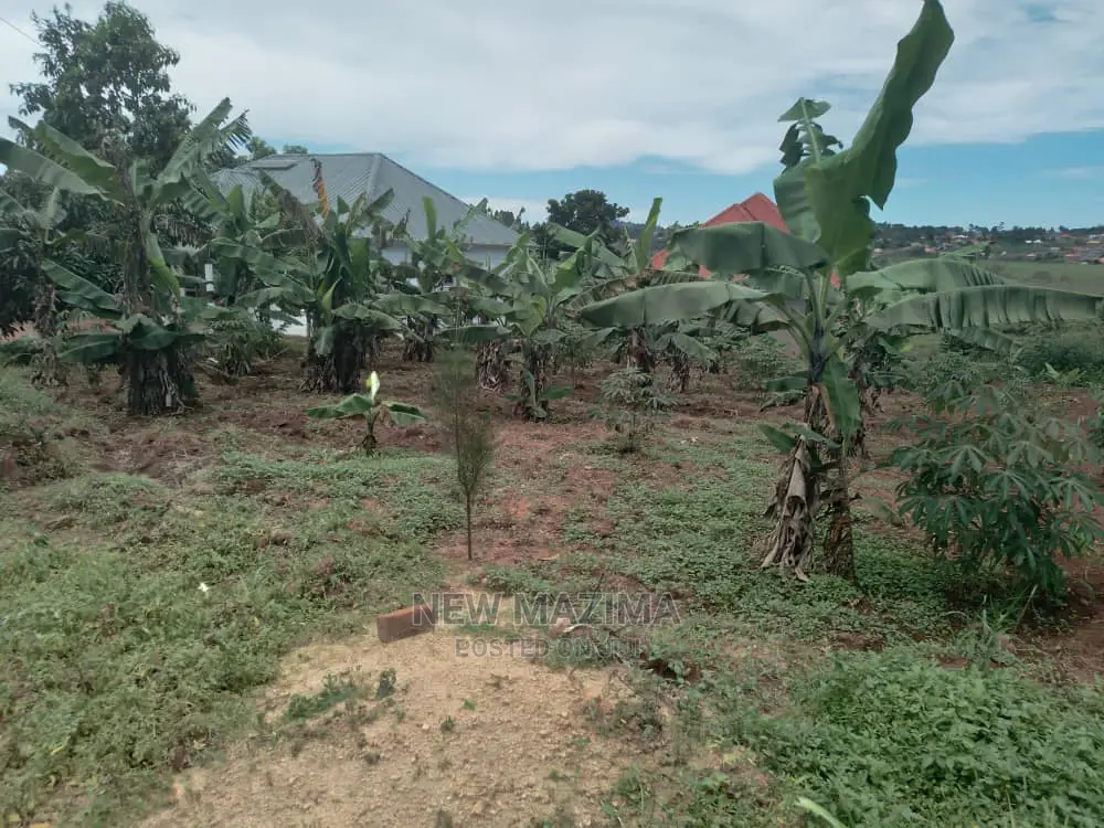 Buloba Nabukalu Titled Plot on Quicksale in Rich Neighbours