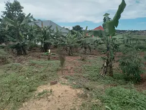 Buloba Nabukalu Titled Plot on Quicksale in Rich Neighbours