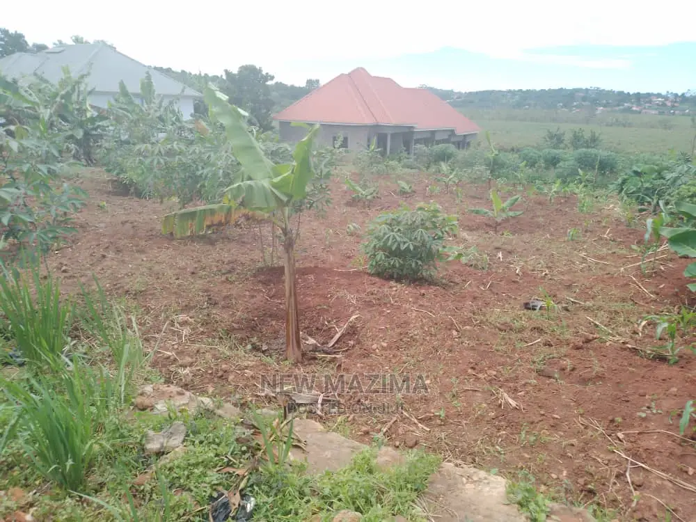 Buloba Nabukalu Titled Plot on Quicksale in Rich Neighbours