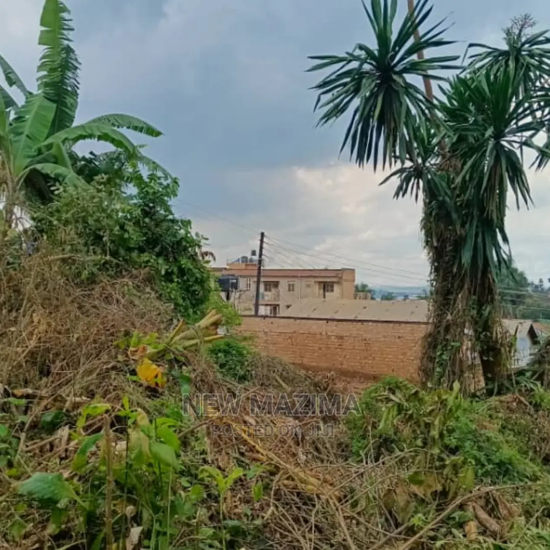 Very Beautiful Fancy Plot on Quicksale in Heart of Muyenga