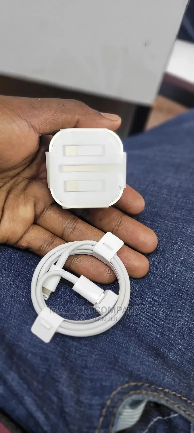 Original iPhone Charger