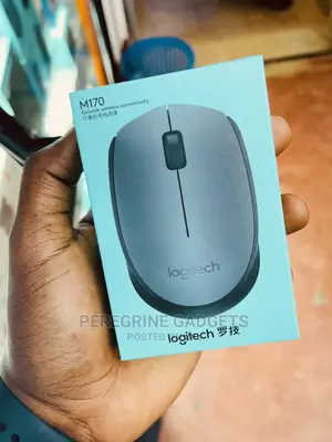 Reliable Wireless M170 Logitech Mouse