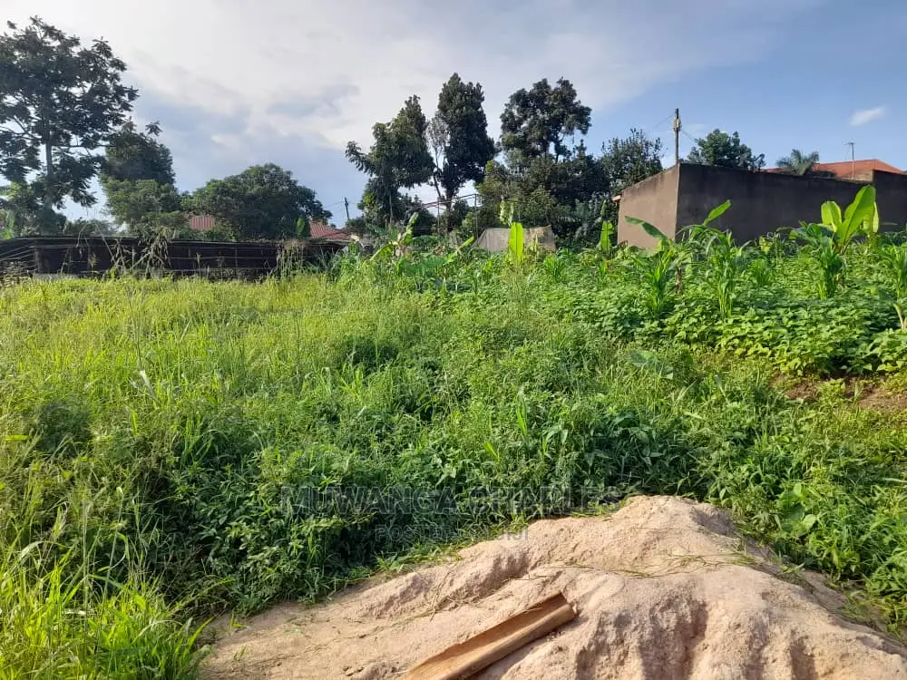 Plot's Available for Sale at Busika