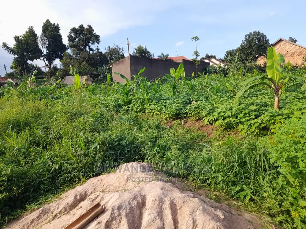 Plot's Available for Sale at Busika