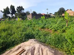 Plot's Available for Sale at Busika