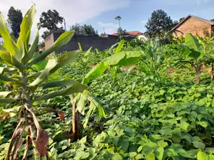 Plot's Available for Sale at Busika