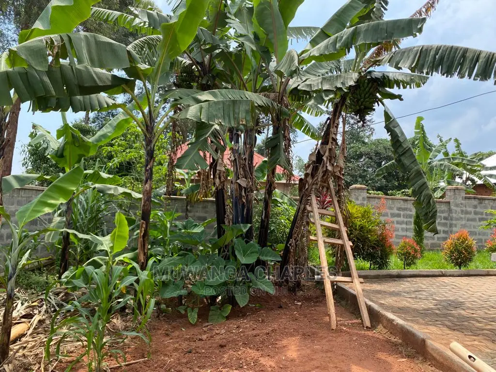 Plot's Available for Sale at Busika