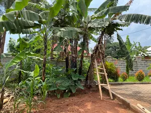 Plot's Available for Sale at Busika