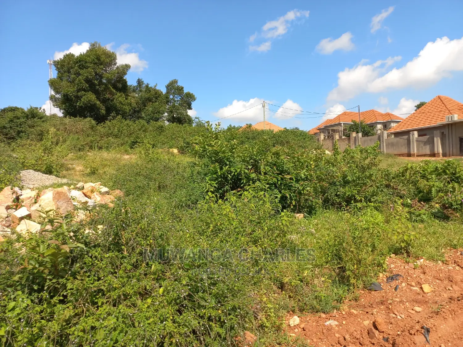 Plot's Available for Sale at Busika
