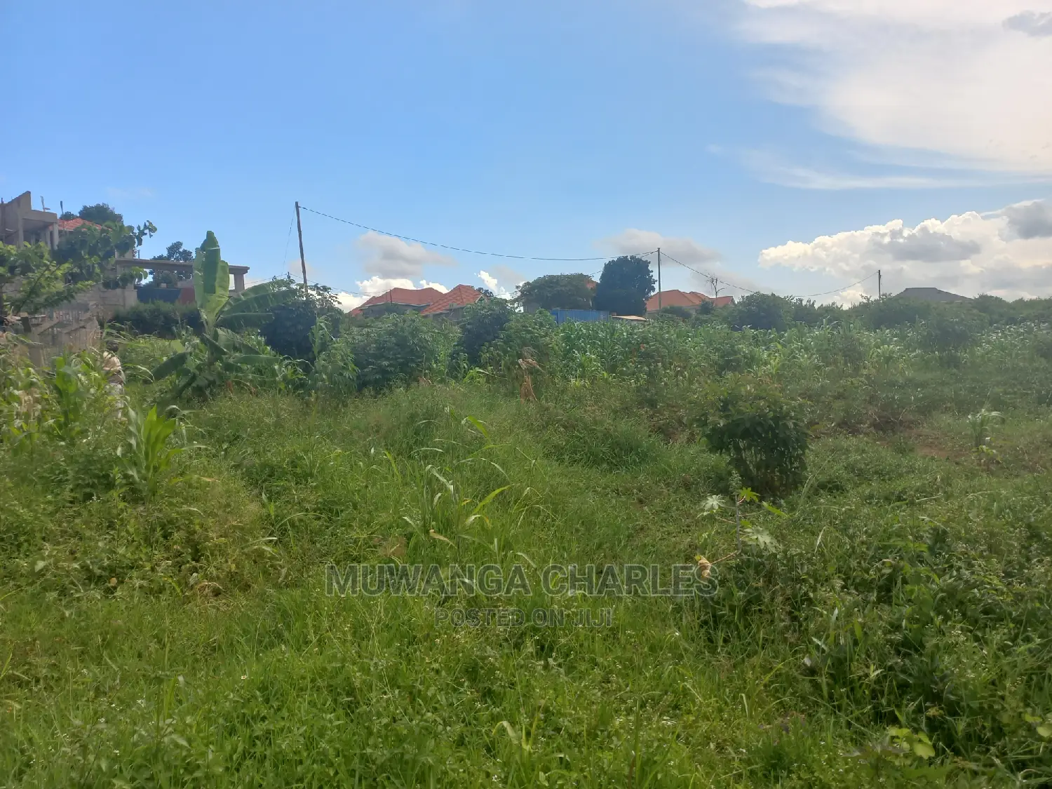 100by50ft Plot for Sale at Kira Kitukutwe