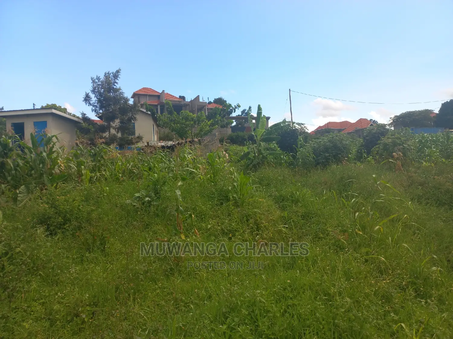 100by50ft Plot for Sale at Kira Kitukutwe