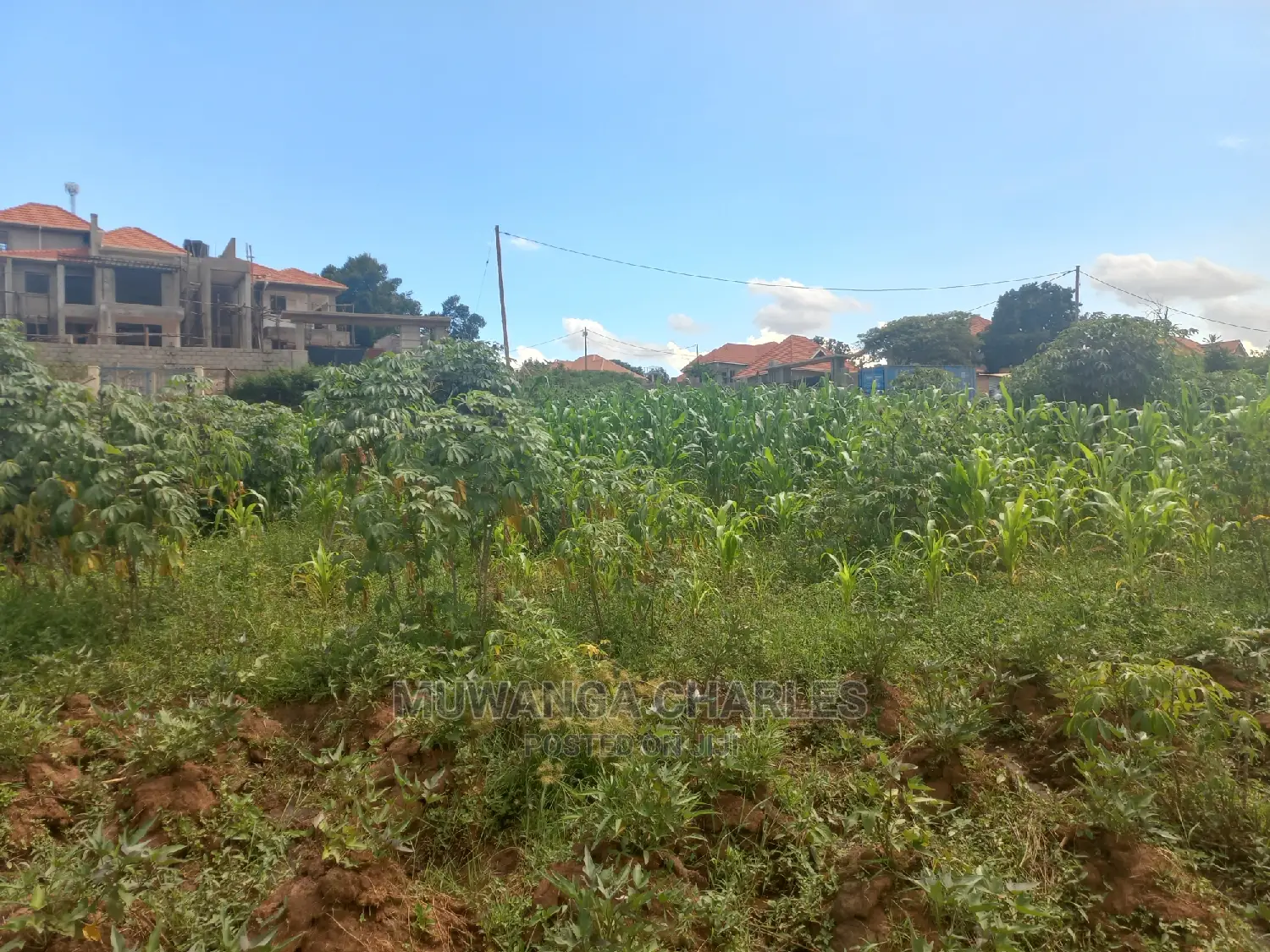100by50ft Plot for Sale at Kira Kitukutwe