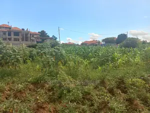 100by50ft Plot for Sale at Kira Kitukutwe