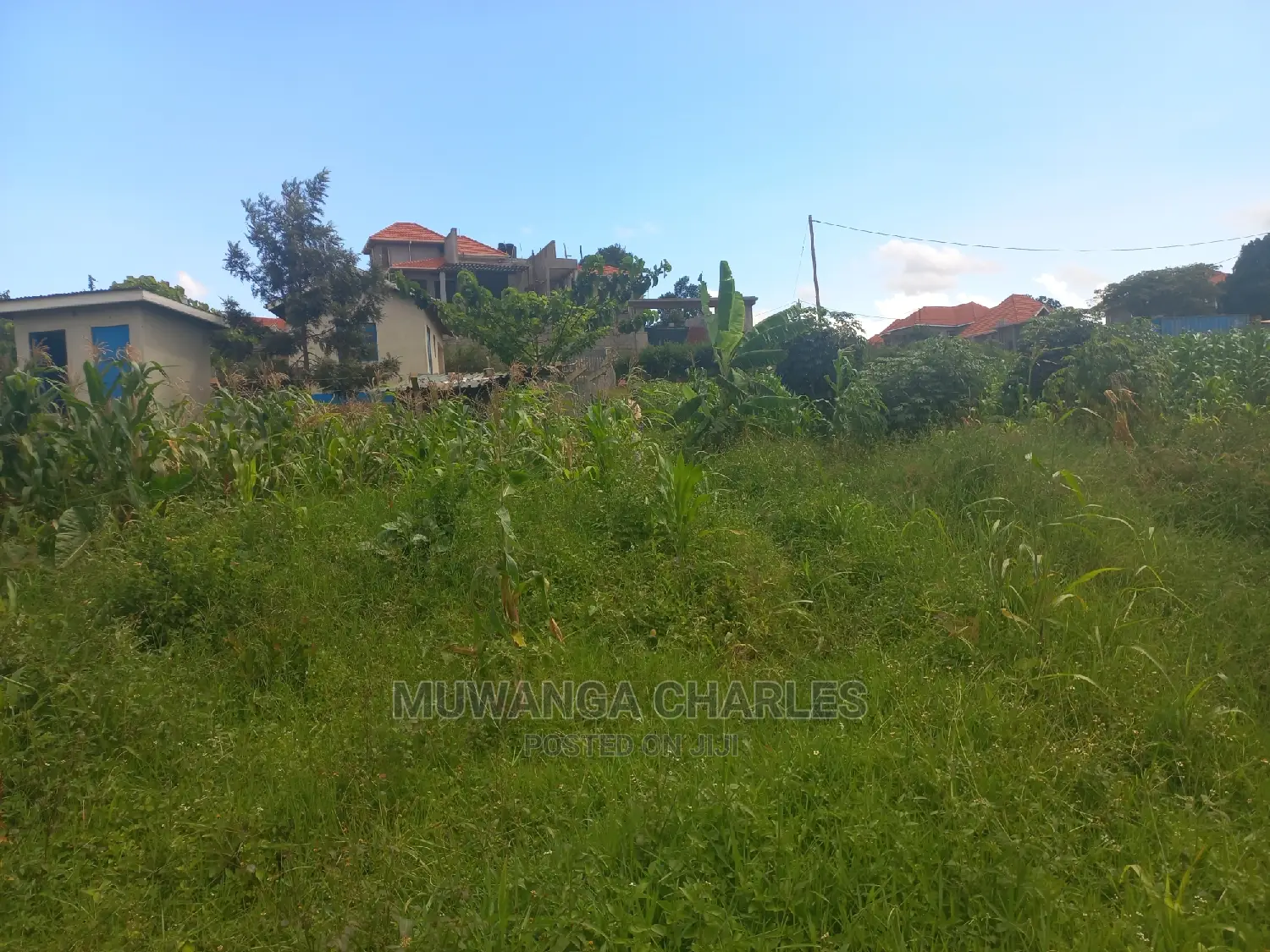100by50ft Plot for Sale at Kira Kitukutwe