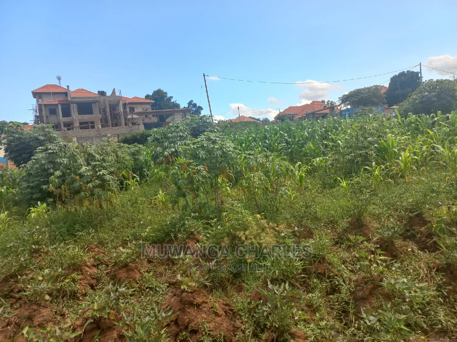 100by50ft Plot for Sale at Kira Kitukutwe