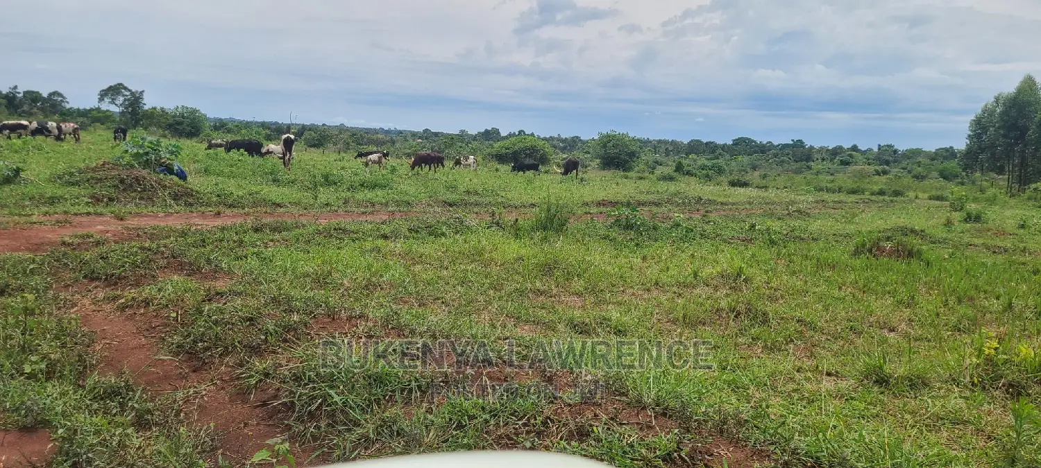 Land for Sell in Ngomanene Gomba Rd50x100 With Ready Land Title