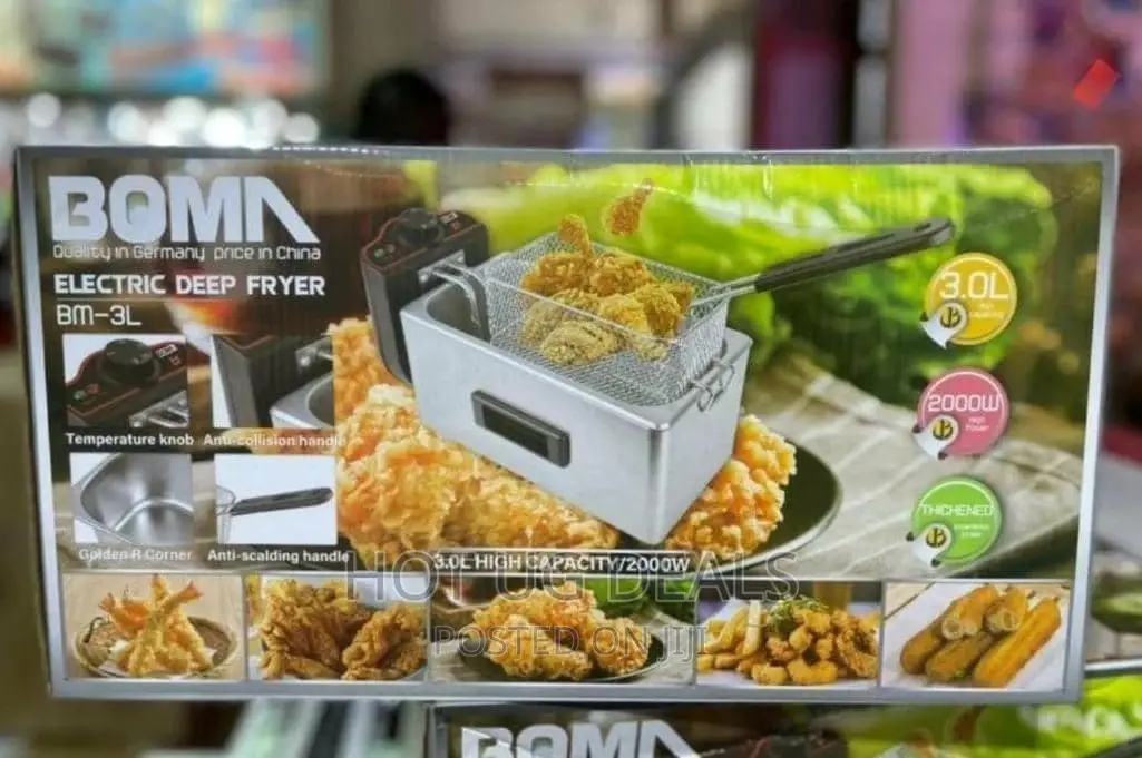 3L Stainless Steel Deep Fryer - Silver