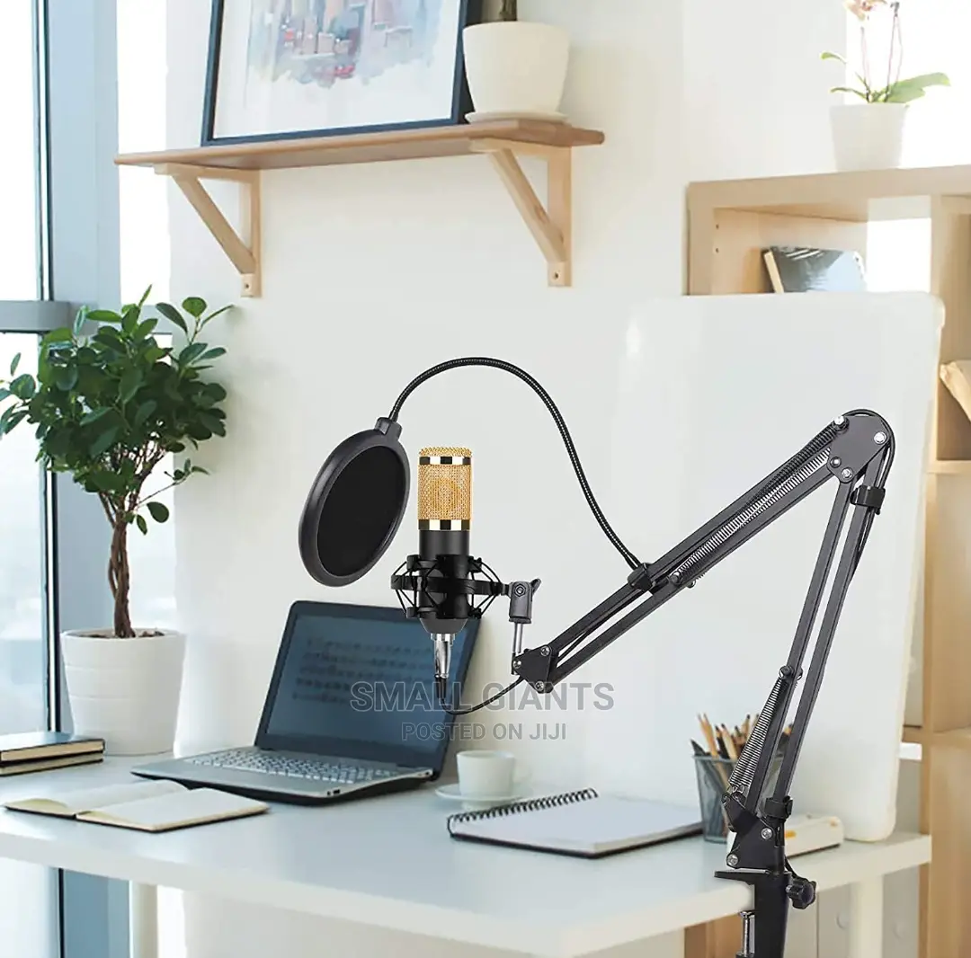 Condenser Microphone Bundle, BM-800 Kit With Live Sound Card