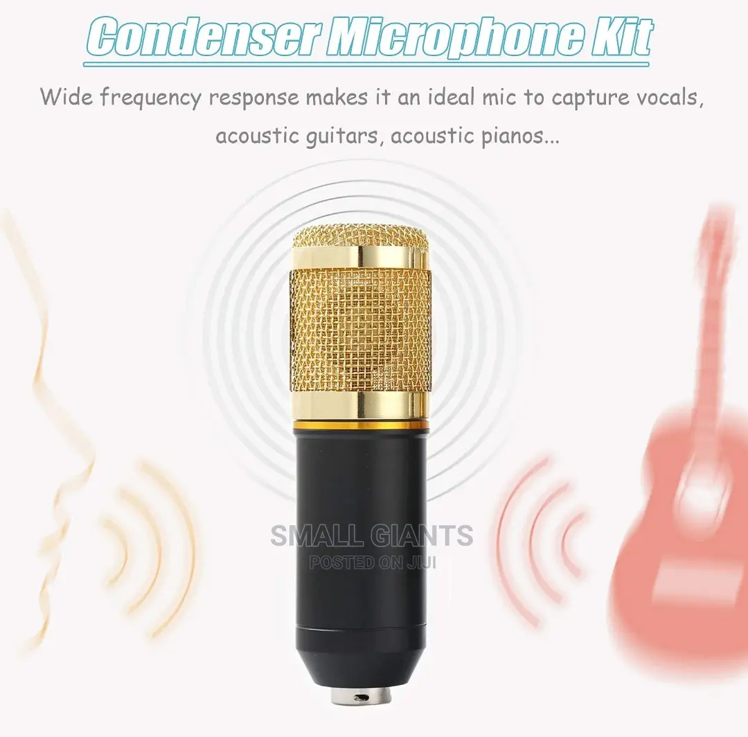 Condenser Microphone Bundle, BM-800 Kit With Live Sound Card