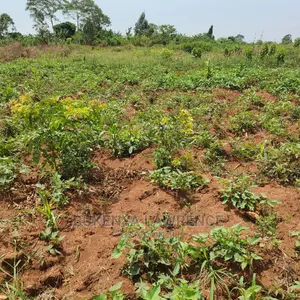 Land for Sell in Ngomanene Gomba Rd50x100 With Ready Land Title