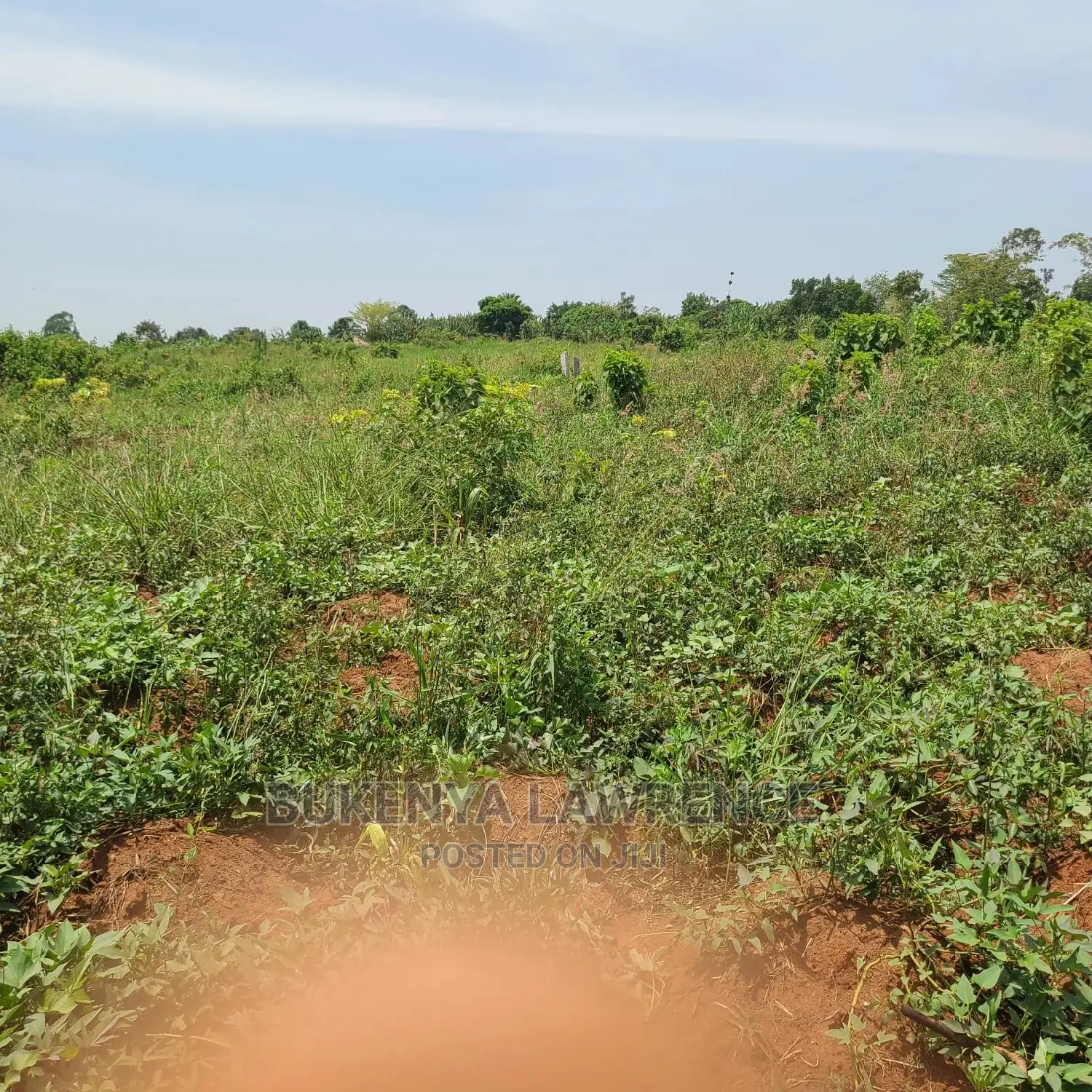 Commercial Plots 50x100 With Rdy Title for Sell7.5m in Ngomanene Mpigi