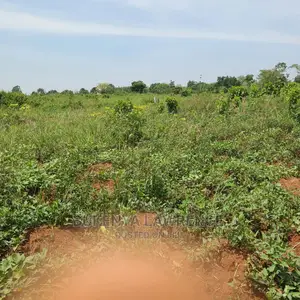 Commercial Plots 50x100 With Rdy Title for Sell7.5m in Ngomanene Mpigi