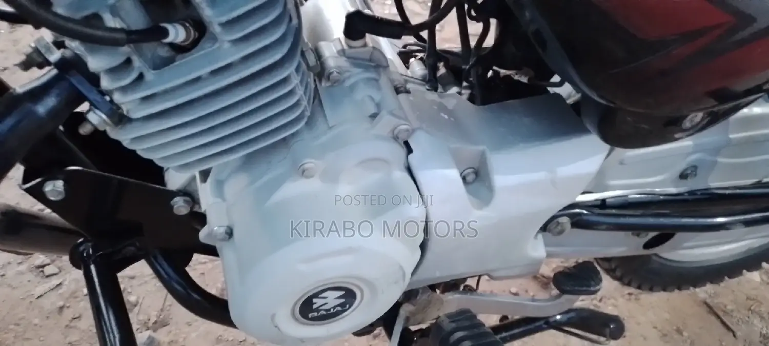 New Bajaj Avenger 220 Street 2023 Black