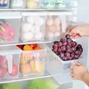 Fridge Storage Container