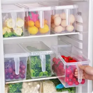 Fridge Storage Container
