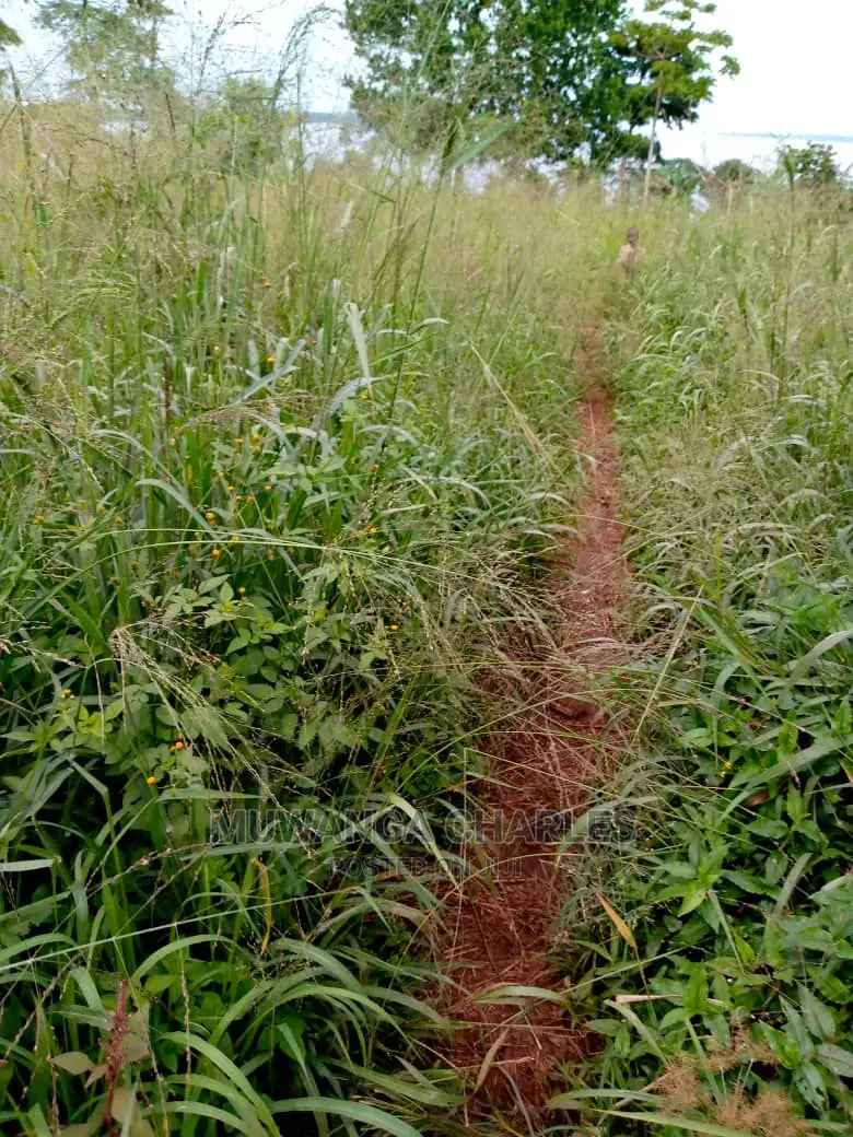 Plots Available for Sale at Busika