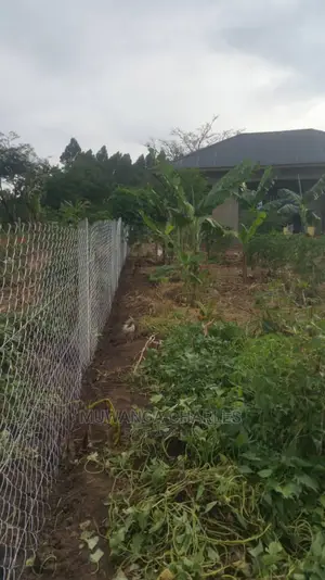 Plots Available for Sale at Busika