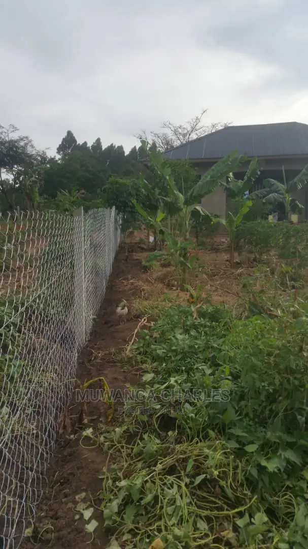 Plots Available for Sale at Busika