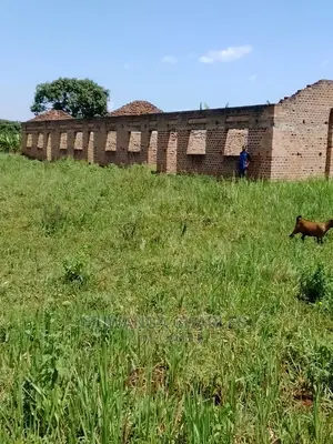 Plots Available for Sale at Busika