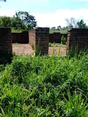 Plots Available for Sale at Busika