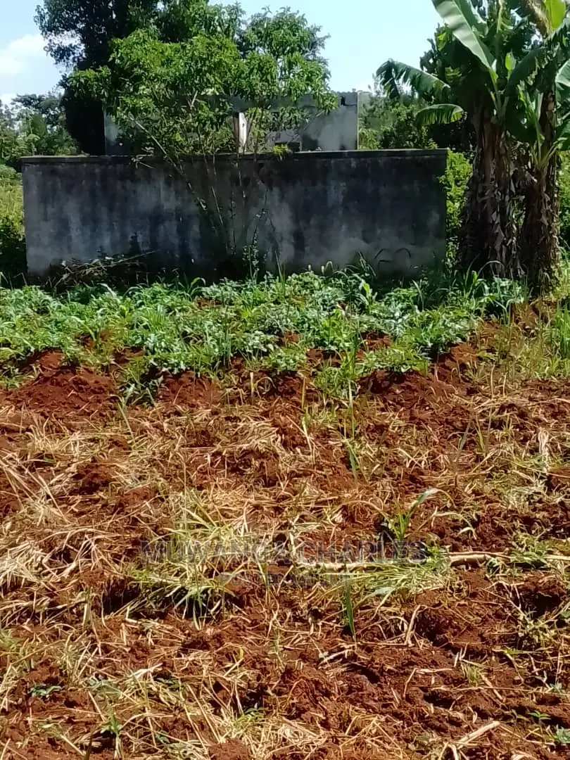 Plots Available for Sale at Busika