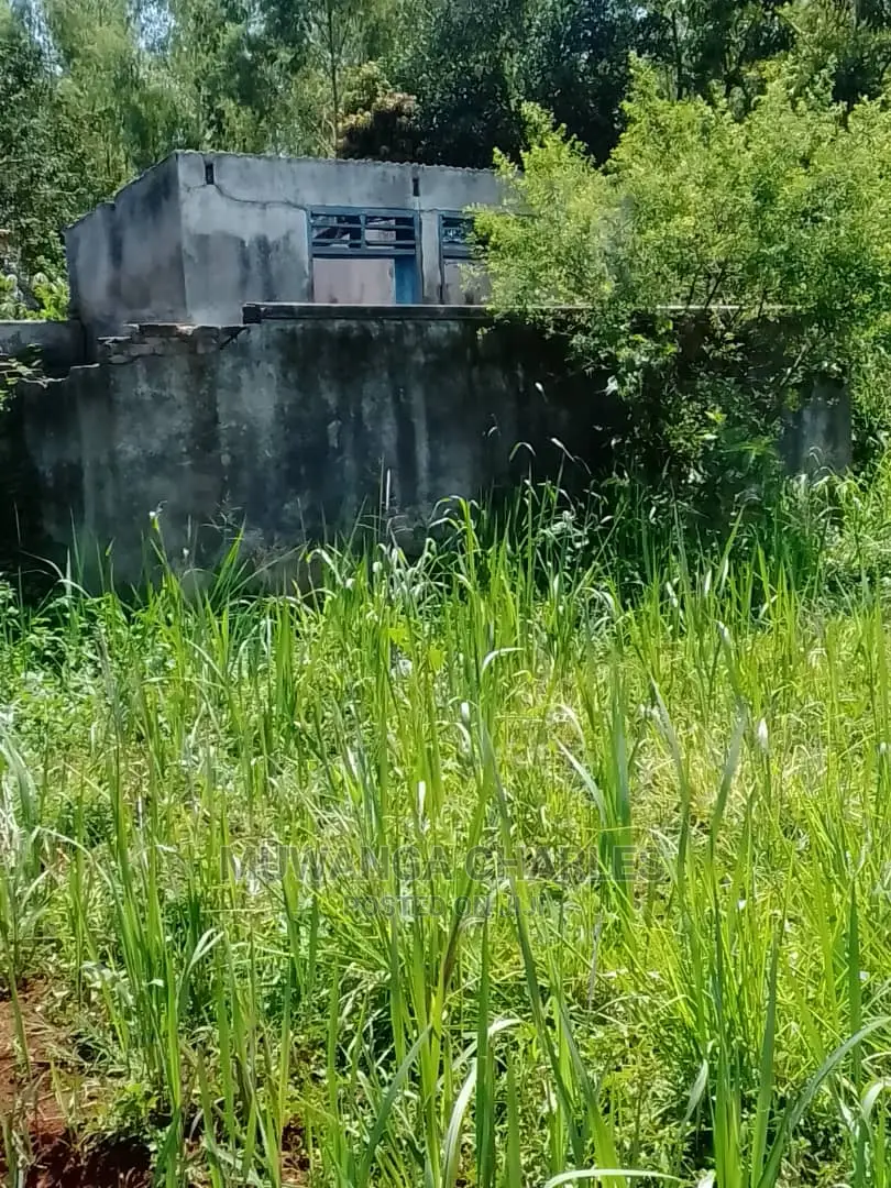 Plots Available for Sale at Busika