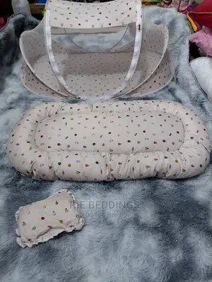 Baby Mosquito Net With a Mattress