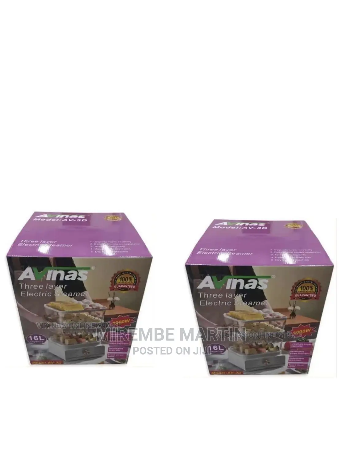 Avinas Electric Steamer