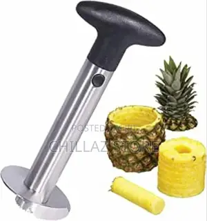 Stainless Steel Pineapple Slicer and Cutter.