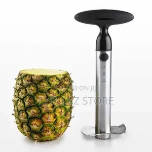 Stainless Steel Pineapple Slicer and Cutter.