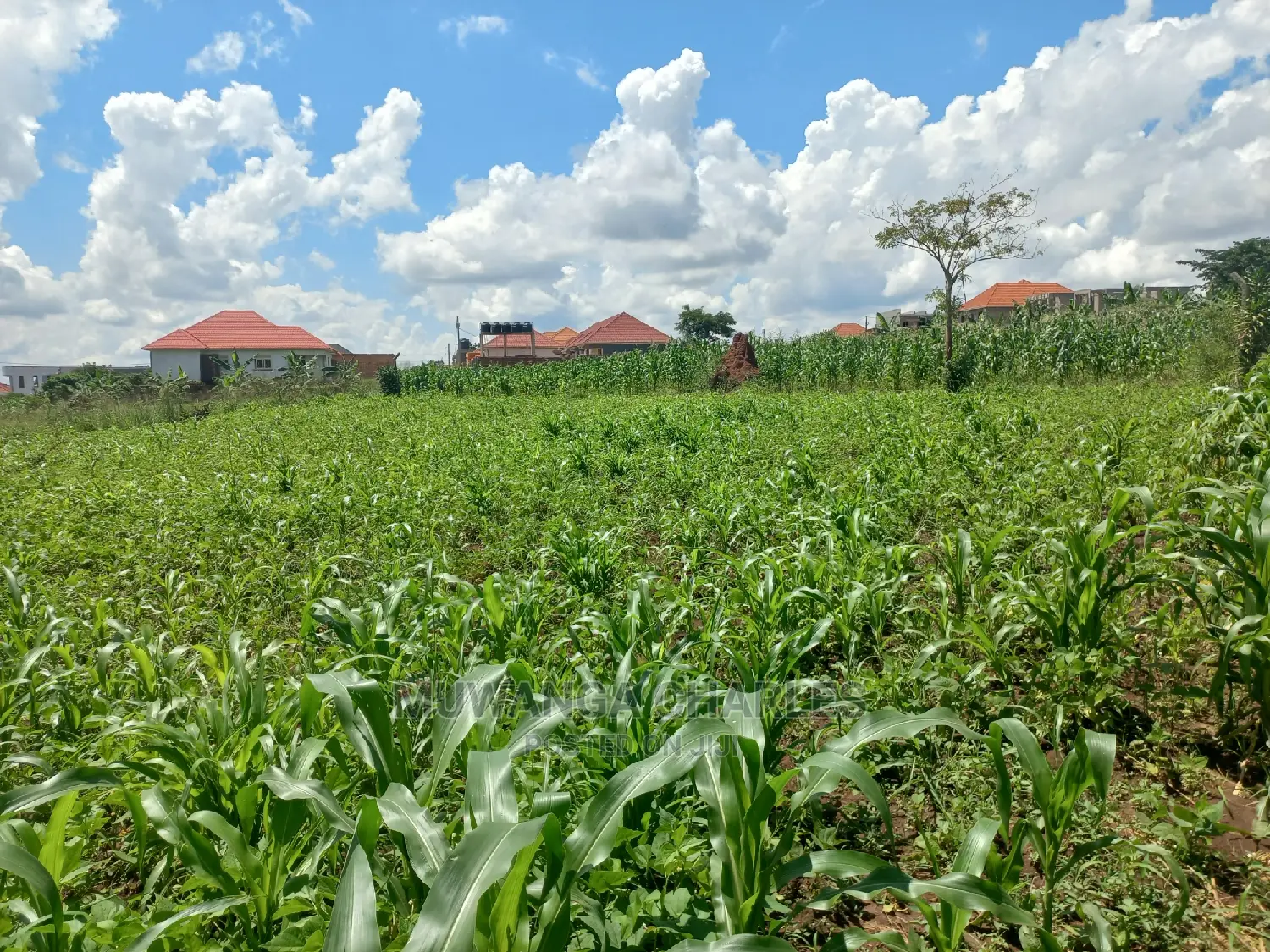 Plot Available for Sale at Kyanja Kungu