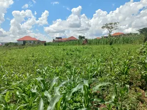 Plot Available for Sale at Kyanja Kungu