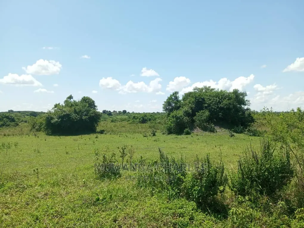 20acres Available for Sale at Luwero Kamira